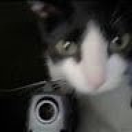 NemoSoCute