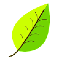 IamLEAFY