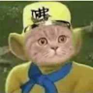 prozdsdas