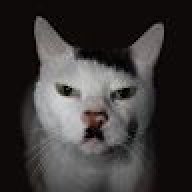 QPhi