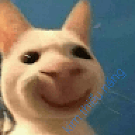 ldsunh