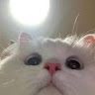 LongLowKey