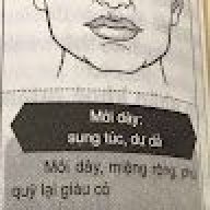 hoangcan7417