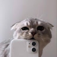 nekodz