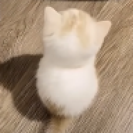haungjoo