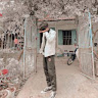 nguyennvu06