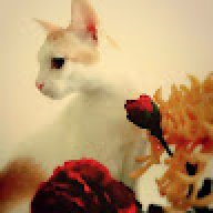 firecat