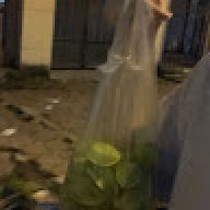 Potatobikpayy