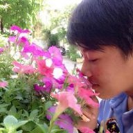 Phong9495