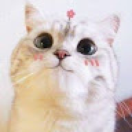 Meoalice4