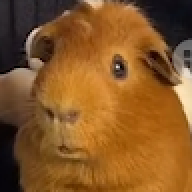 kenherotr