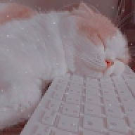 nhimm