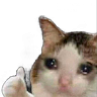 sadcatt