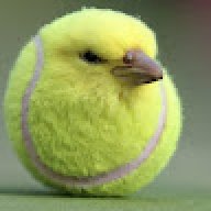 npbduy000