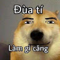 Tùng Nguyễn hoàng