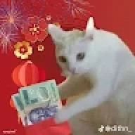 huuphuocmc