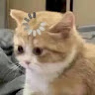 Minhbeoiachay79