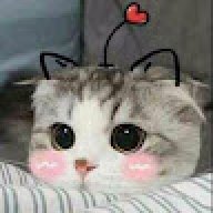 longnkfh