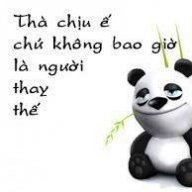 duyquynh
