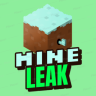 Mine Leak