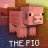 pigguyvn
