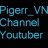 Pigerr