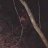 hieuvjppro