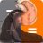Orcoddio465