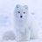 Snowfox
