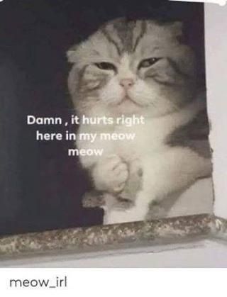 35336