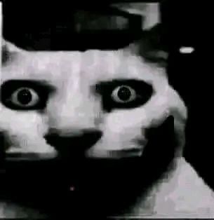 46778