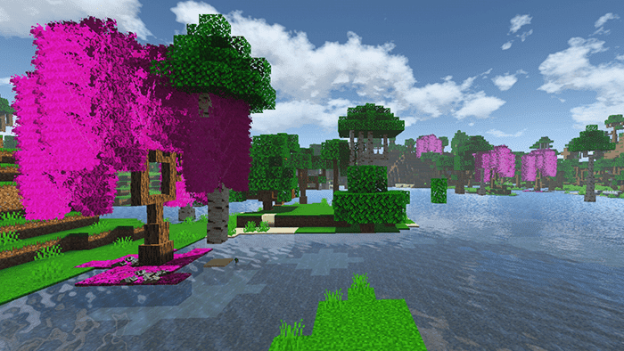 32505