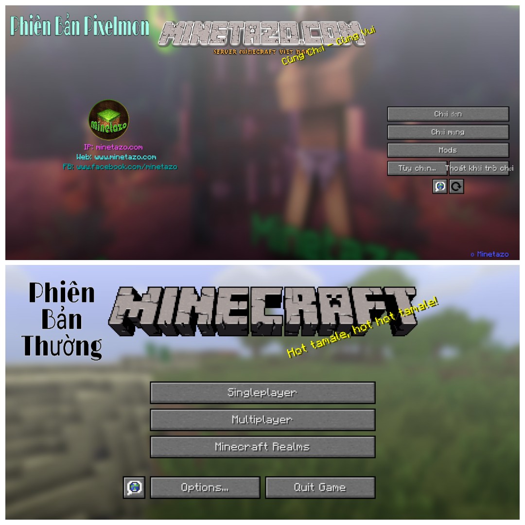 17344