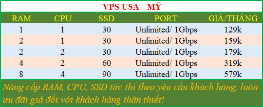 VPSChinhhang-VPS-US.png