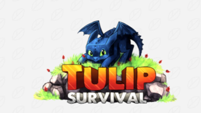 30 máy chủ Minecraft RPG tốt nhất năm 2021