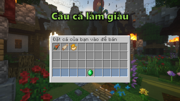 23807
